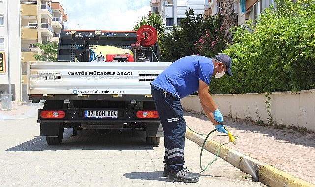 Büyükşehir vektörle çaba çalışmasını aralıksız sürdürüyor
