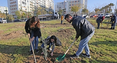 Karşıyaka’da zeytin fidanları toprakla buluştu