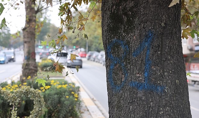 Eyüpsultan-Bayrampaşa Tramvayı’nda Çalışmalar Hızlandı